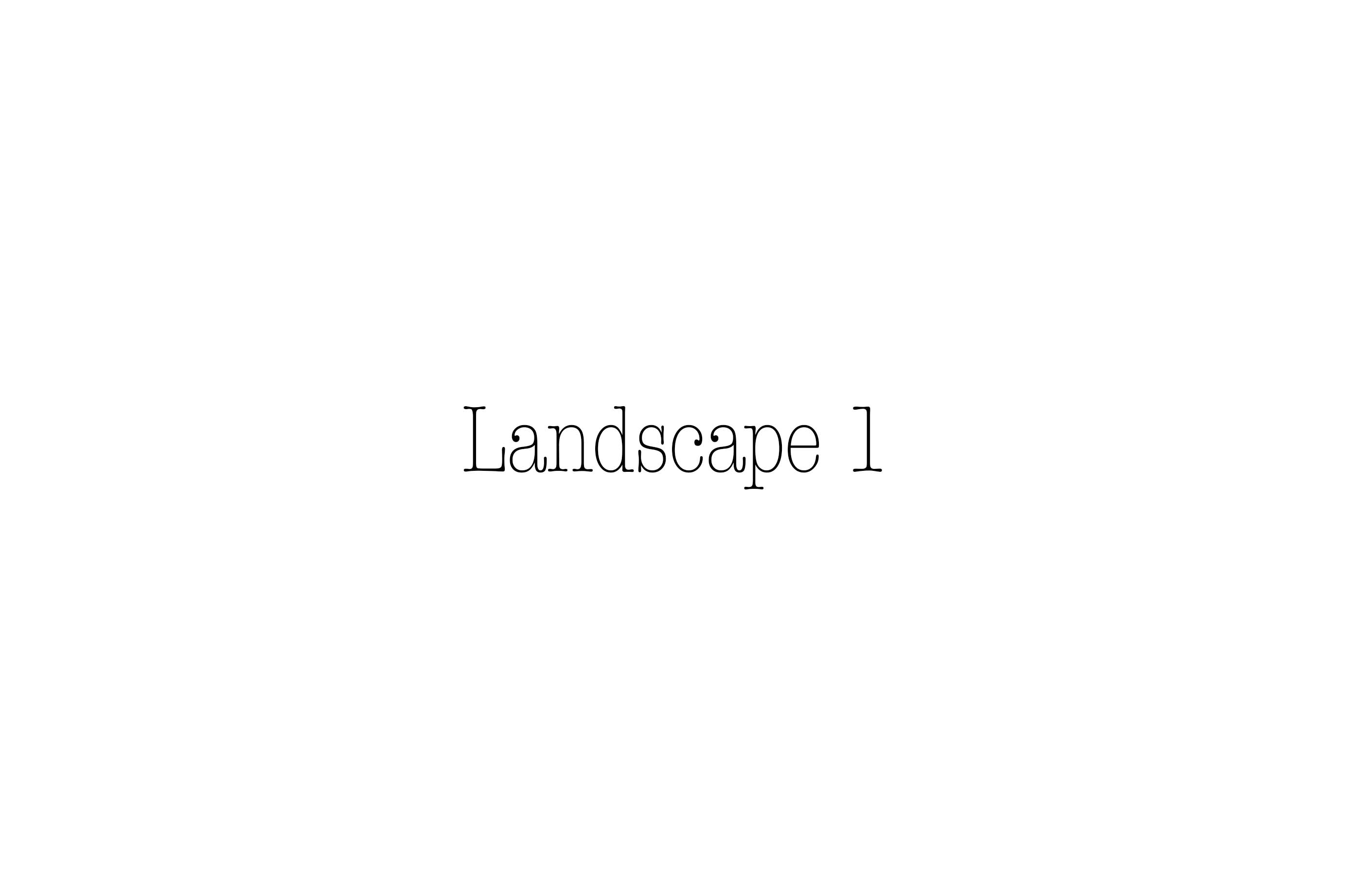 Landscape 1