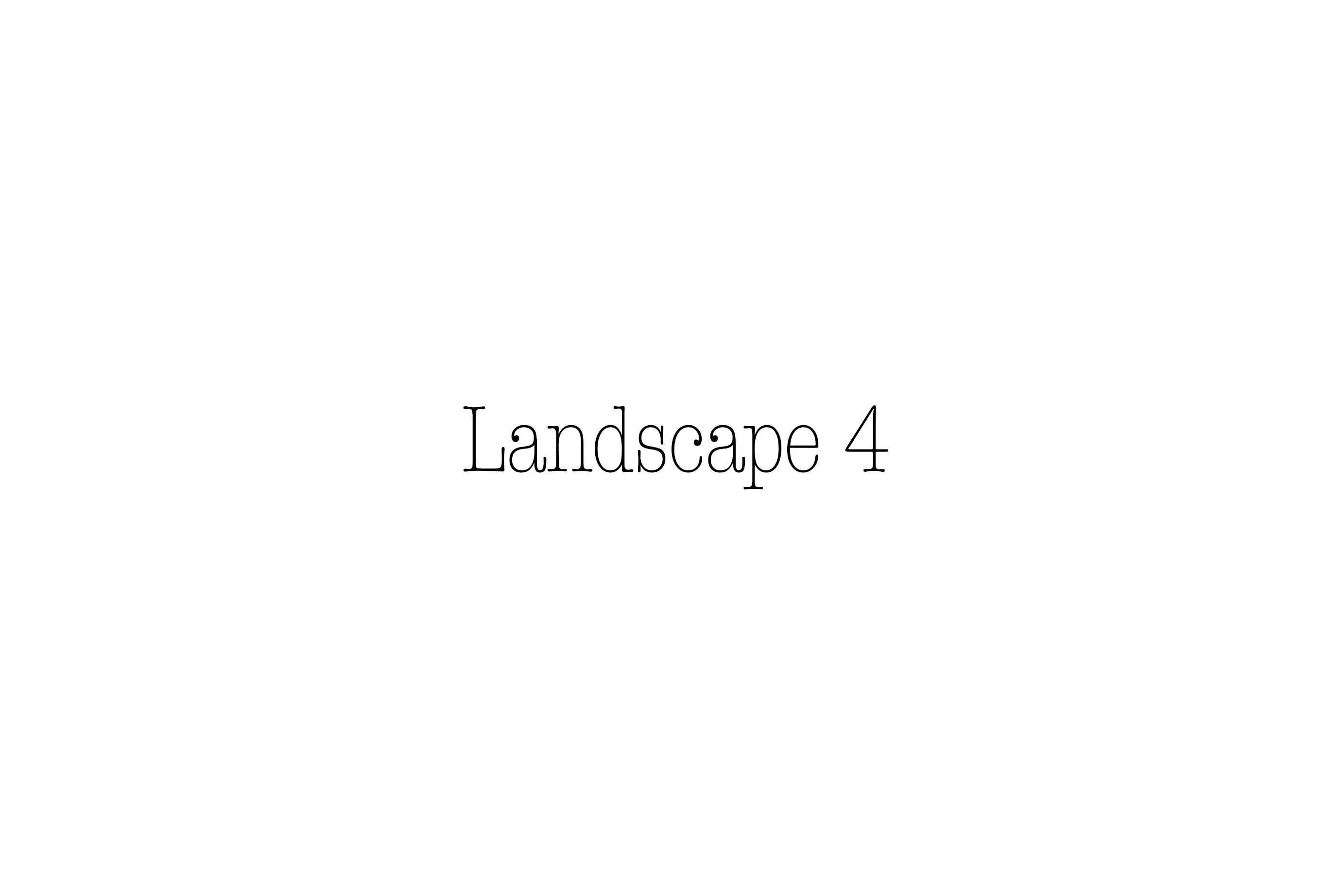 Landscape 4